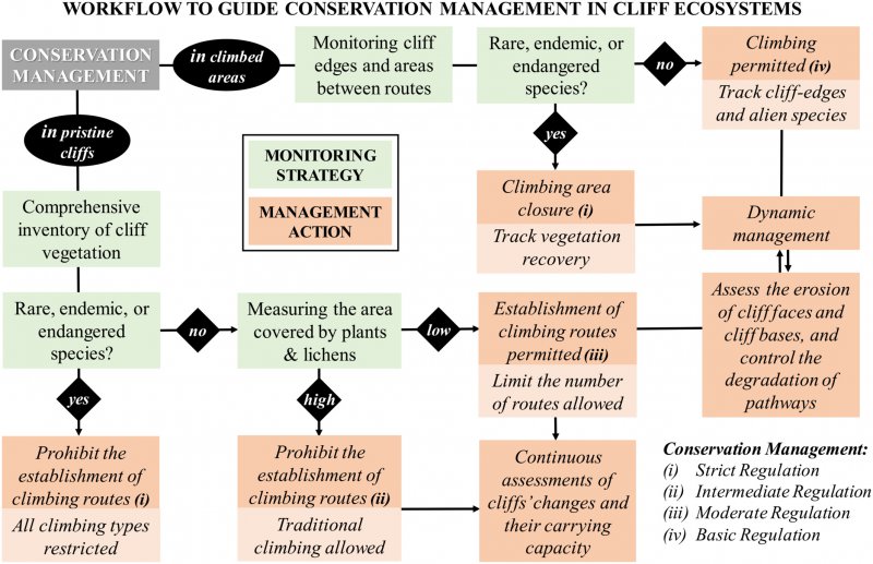 Etude scientifique sur l'impact de l'quipement et de l'escalade sur la flore rupestre (2024)