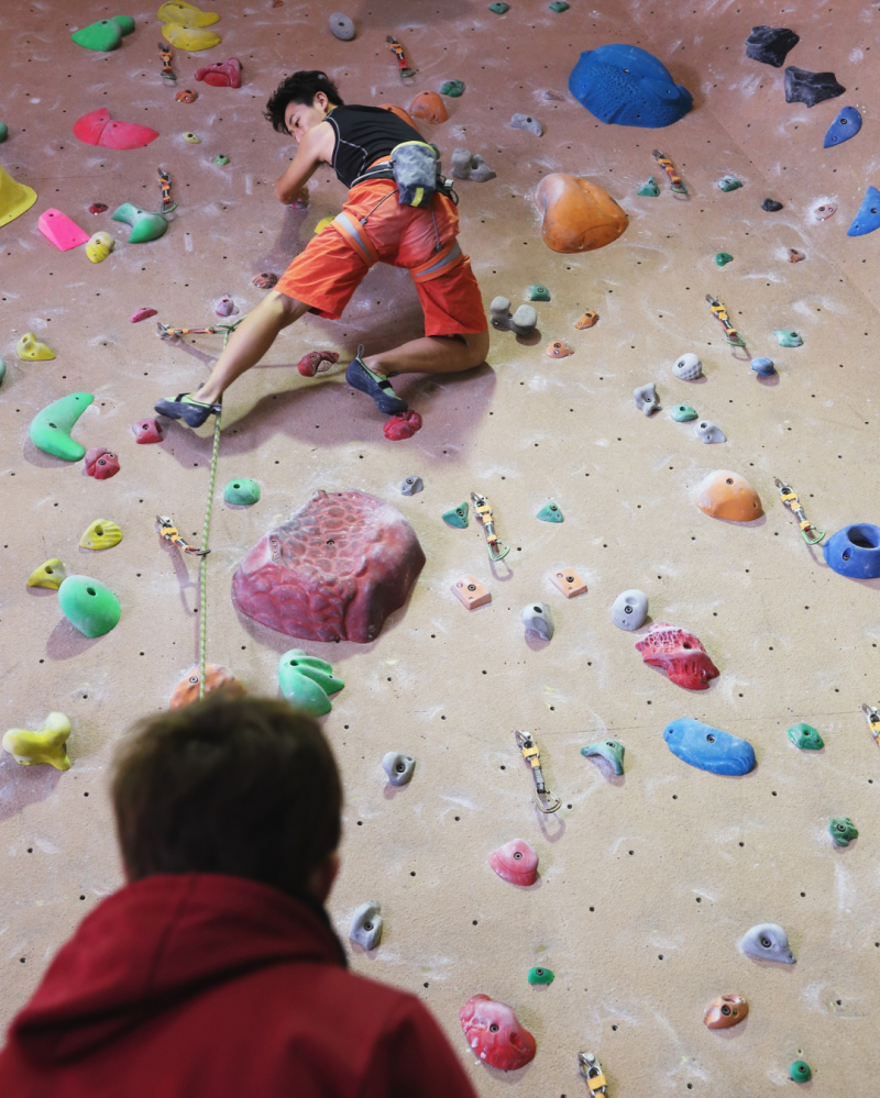 Abrogation de la réforme sur la TVA des auto-entrepreneurs ! Abrogation de la réforme sur la TVA des auto-entrepreneurs !