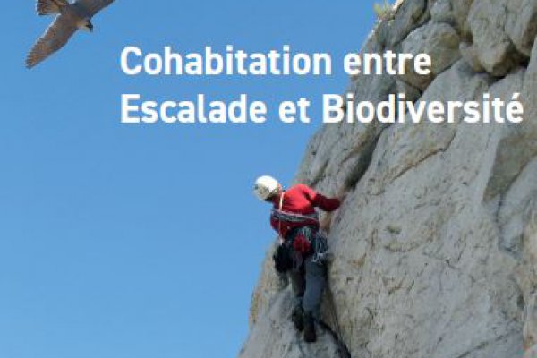 Soirée-débat du 30 novembre à Aubagne - Cohabitation entre escalade et biodiversité