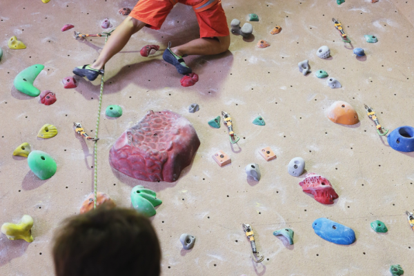 Abrogation de la réforme sur la TVA des auto-entrepreneurs !