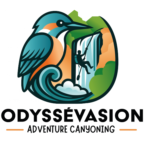 Moniteur Yann GL�MOT